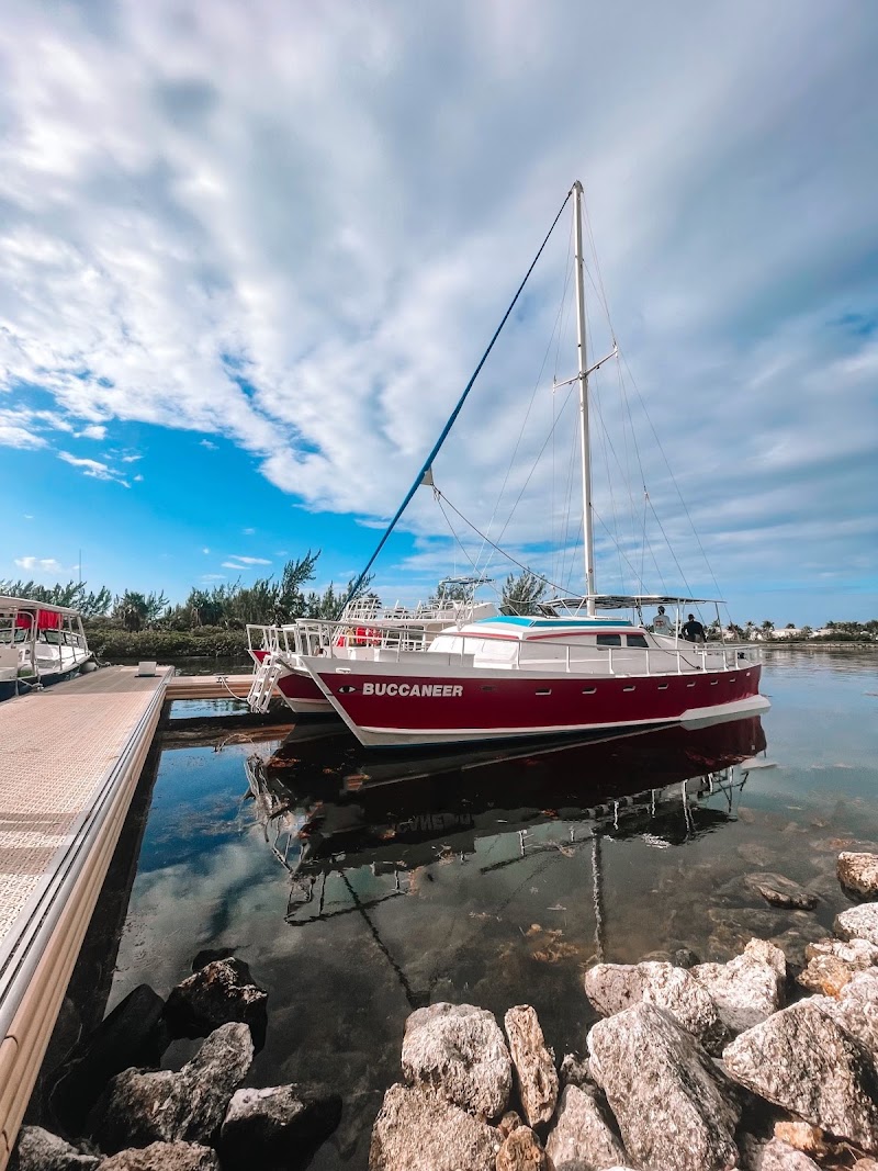 Acquarius Sea Tours — Sea Tours in George Town, Grand Cayman