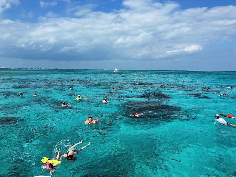 Acquarius Sea Tours — Sea Tours in George Town, Grand Cayman photo 2