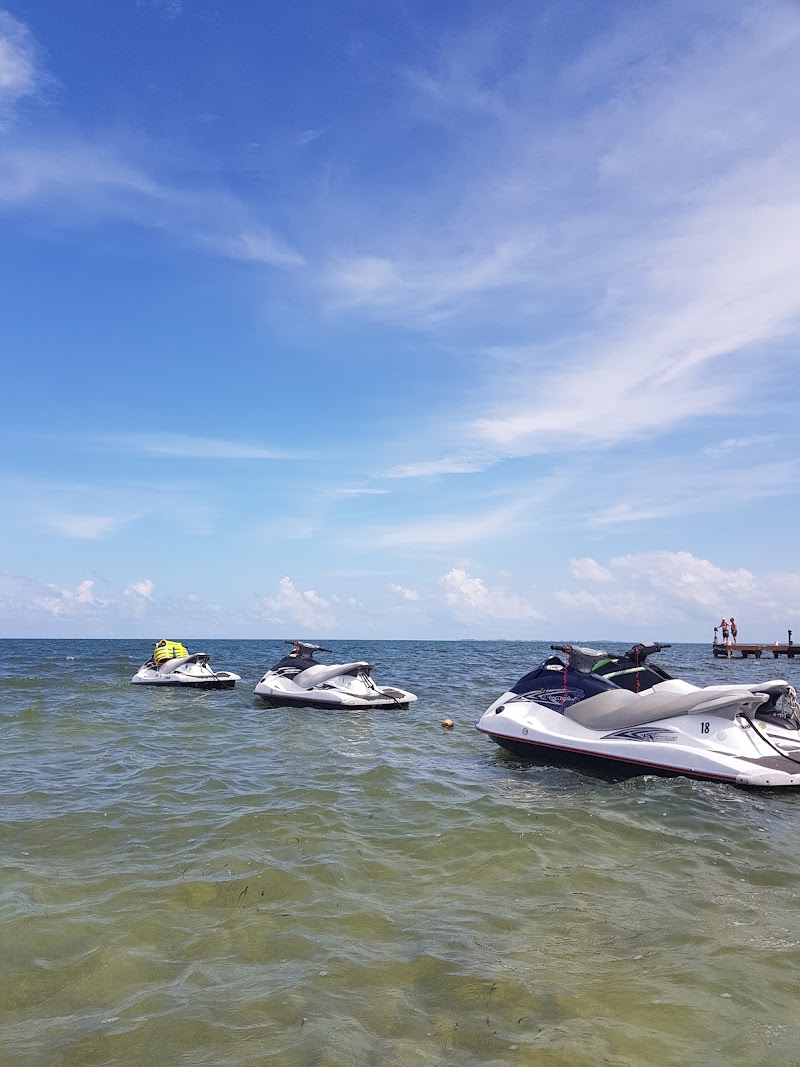 Action Water Sports — Watersports in West Bay, Grand Cayman photo 3