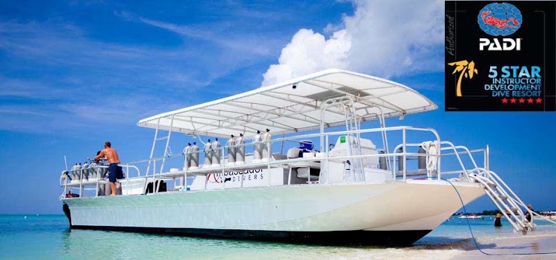 Ambassador Divers — Scuba Diving in Seven Mile Beach, Grand Cayman