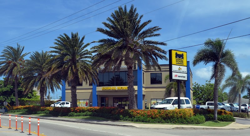 Animal House — Pet Store in George Town, Grand Cayman