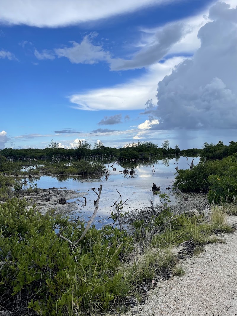 ATV Cayman — ATV Tours in West Bay, Grand Cayman photo 2