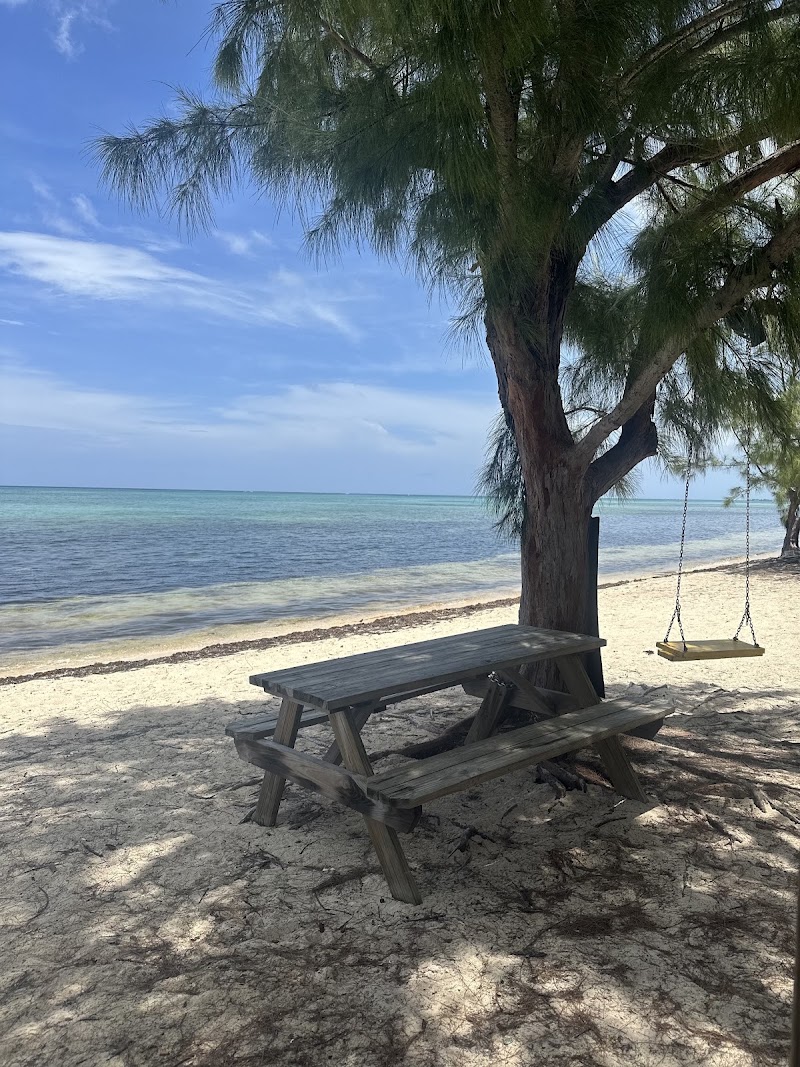 ATV Cayman — ATV Tours in West Bay, Grand Cayman photo 3