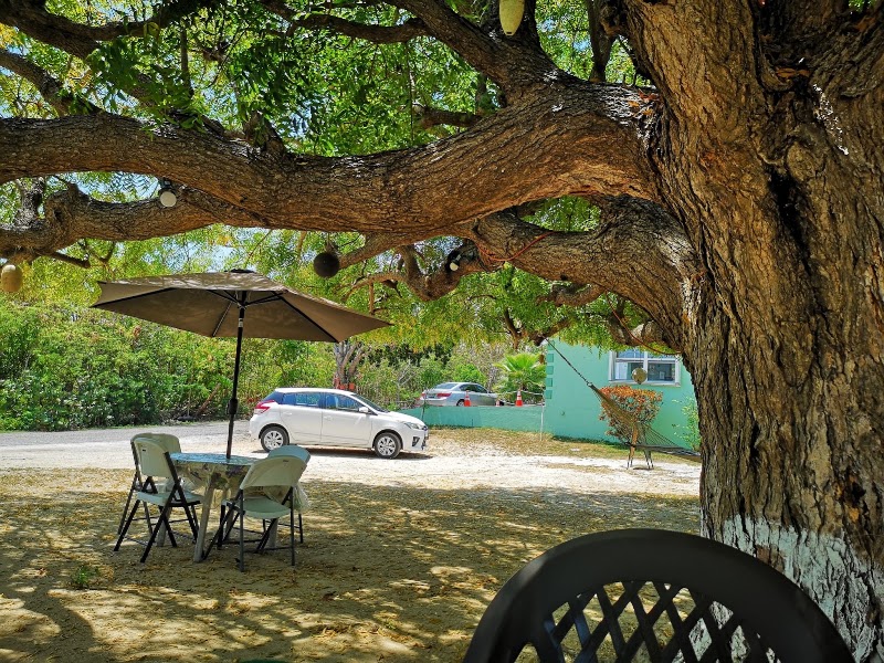 Big Tree BBQ — BBQ Restaurant in East End, Grand Cayman