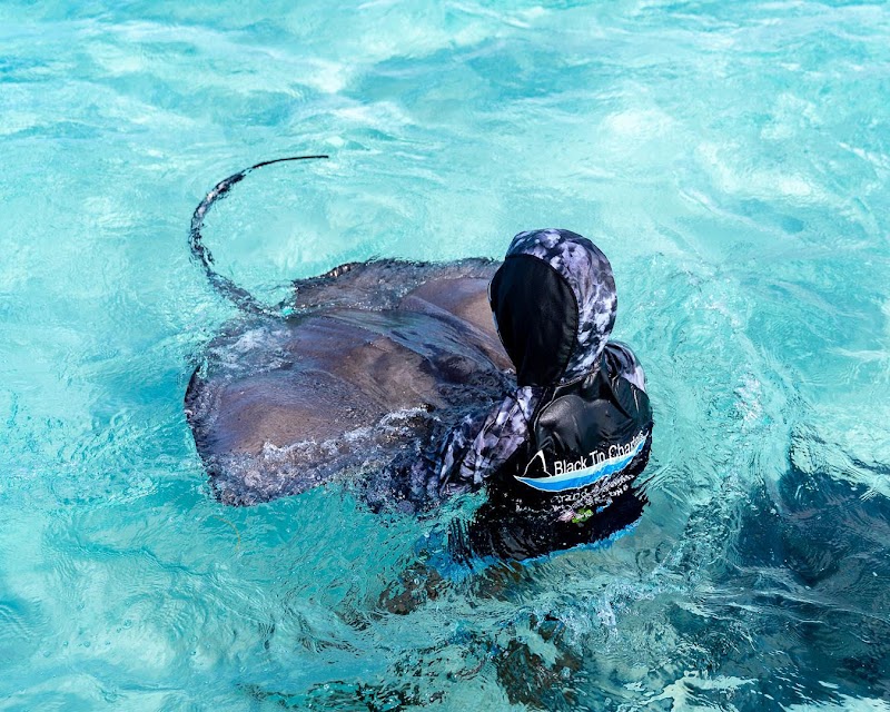 Black Tip Charters — Boat Charters in Cayman Kai, Grand Cayman photo 2