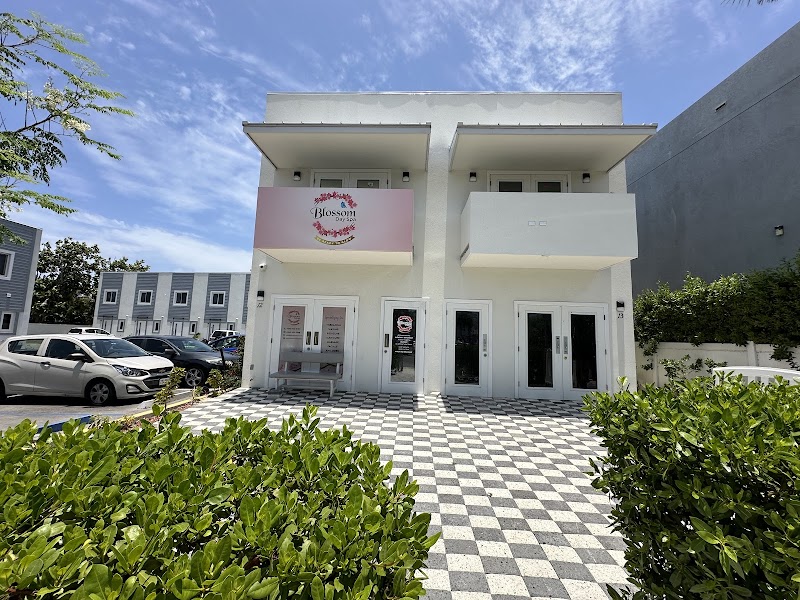 Blossom Day Spa
