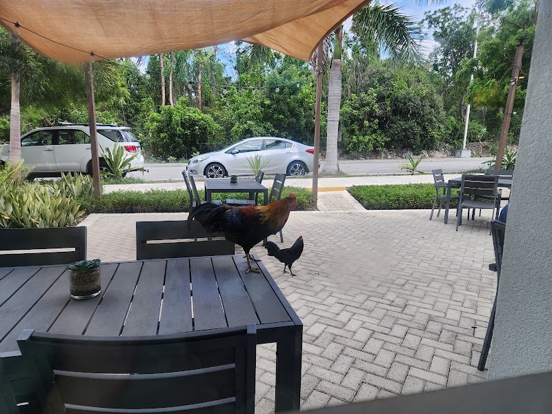 Blue Rock Restaurant & Lounge — Caribbean