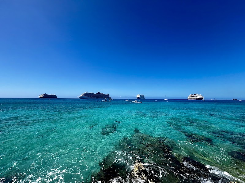 Bob Soto's Reef Divers — Scuba Diving in Seven Mile Beach, Grand Cayman