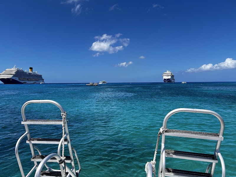 Bob Soto's Reef Divers — Scuba Diving in Seven Mile Beach, Grand Cayman photo 3