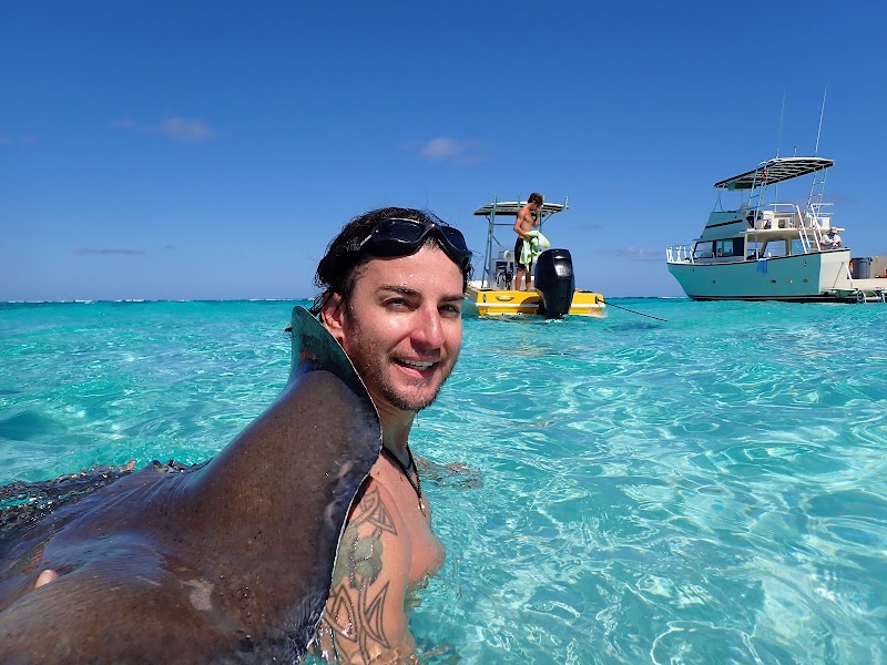 Captain Marvin's Watersports — Stingray City Tours in George Town, Grand Cayman photo 2