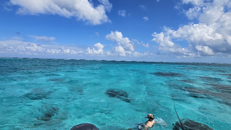Captain Marvin's Watersports — Stingray City Tours in George Town, Grand Cayman photo 3