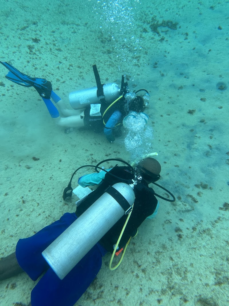 Cayman Diving School — Scuba Training in George Town, Grand Cayman photo 2