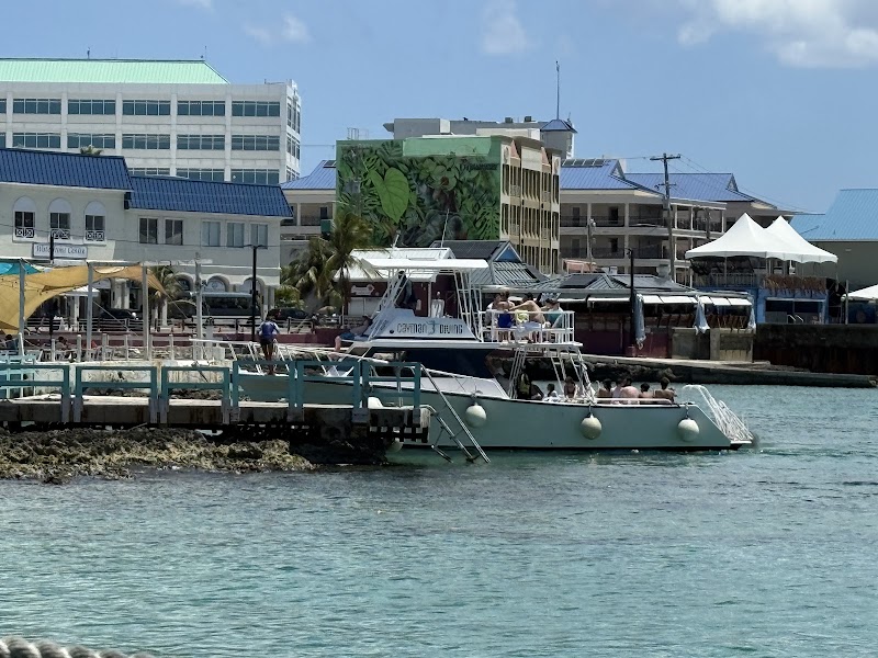 Cayman Diving School — Scuba Training in George Town, Grand Cayman photo 3