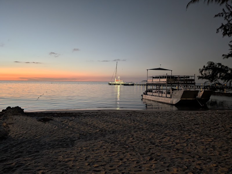 Cayman Kayaks — Kayak & Eco Tours in West Bay, Grand Cayman photo 3