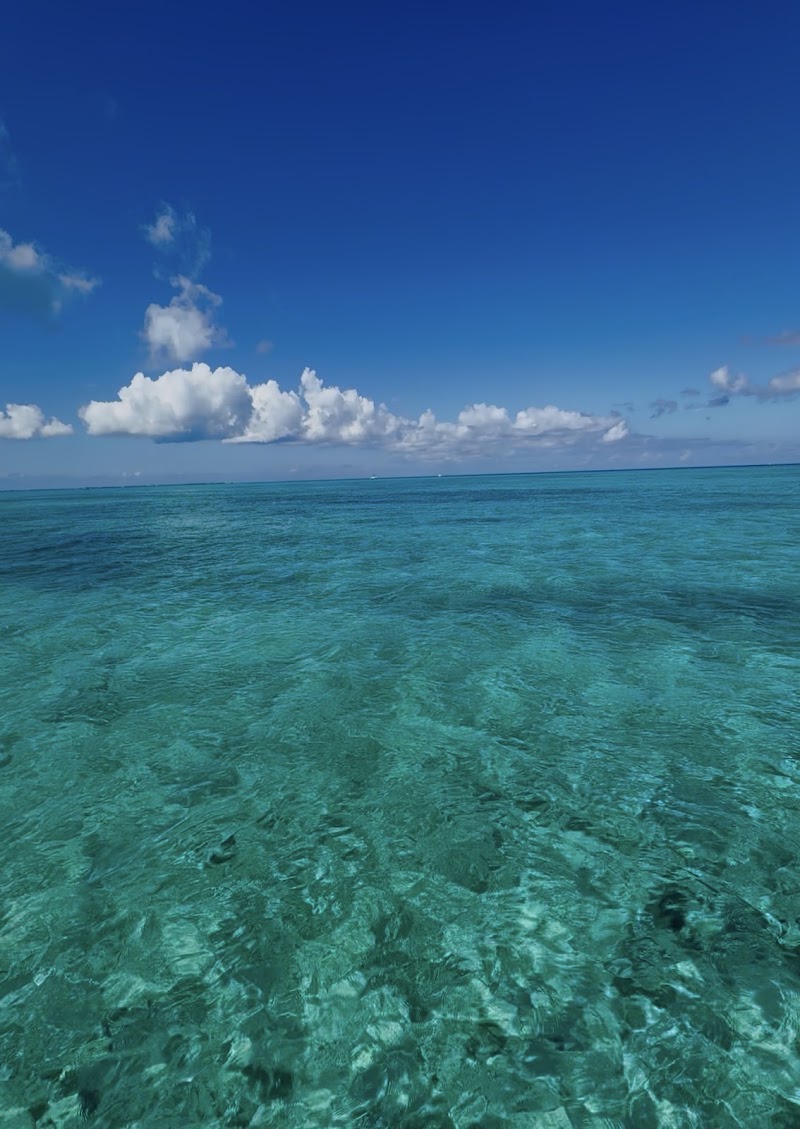 Cayman Luxury Charters — Luxury Charters in George Town, Grand Cayman photo 2