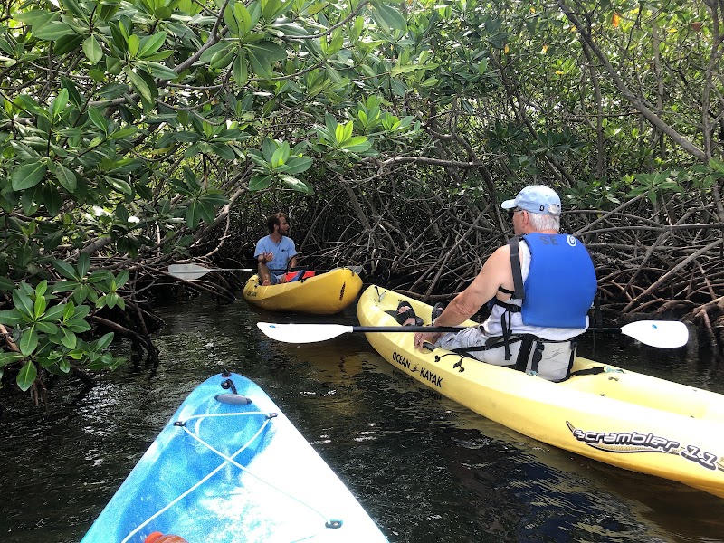 Cayman Sea Elements — Eco Tours in George Town, Grand Cayman