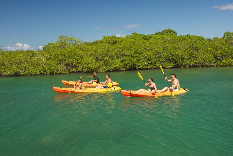 Cayman Sea Elements — Eco Tours in George Town, Grand Cayman photo 2