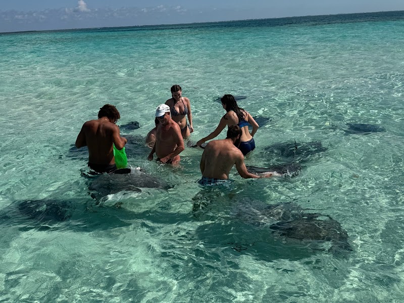 Cayman Snorkel Co. — Snorkeling Tours in George Town, Grand Cayman photo 2