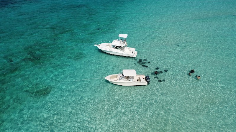 Cayman Snorkel Co. — Snorkeling Tours in George Town, Grand Cayman photo 3