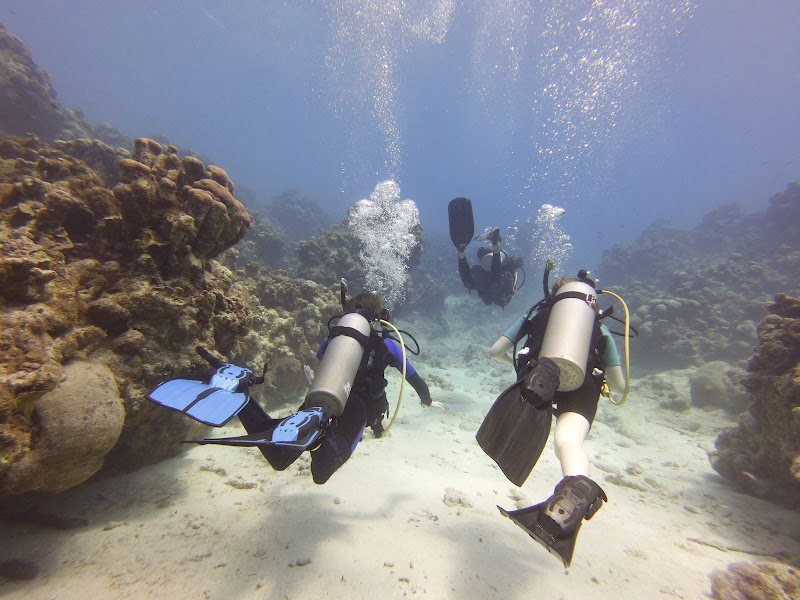 CayMoon Divers — Dive Shop in Bodden Town, Grand Cayman photo 2