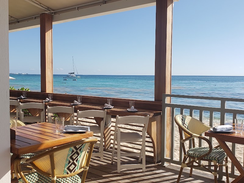 Coccoloba Bar & Grill — Mexican in Seven Mile Beach, Grand Cayman