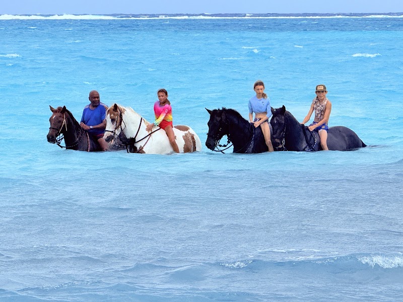 Coral Stone Stables — Horseback Riding in West Bay, Grand Cayman