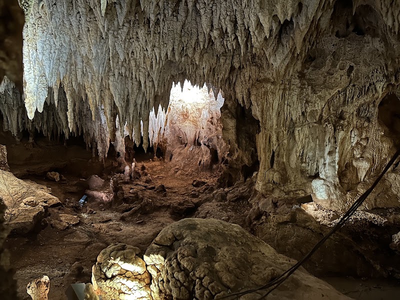 Crystal Caves Grand Cayman — Nature Tours