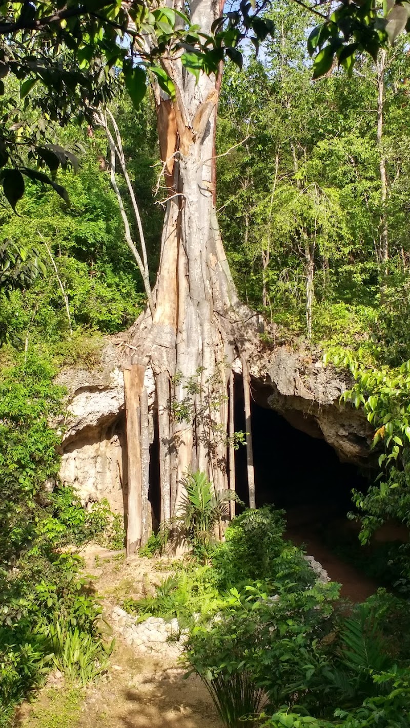 Crystal Caves Grand Cayman — Nature Tours in North Side, Grand Cayman photo 2