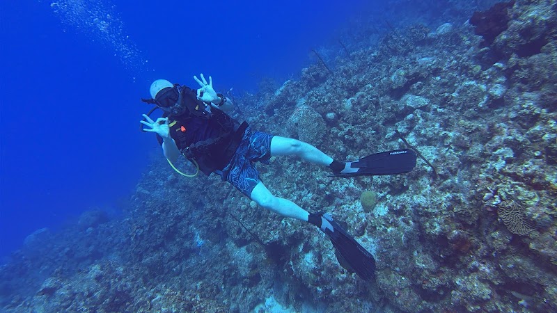Deep Blue Divers — Scuba Diving in George Town, Grand Cayman