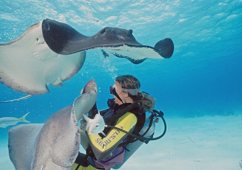 Deep Blue Divers — Scuba Diving in George Town, Grand Cayman photo 2