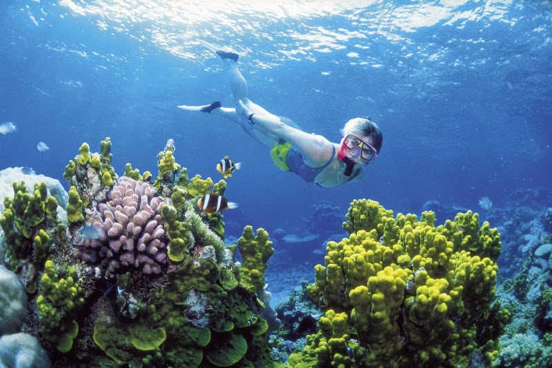 Discount Excursions — Tours and Excursions in George Town, Grand Cayman photo 3
