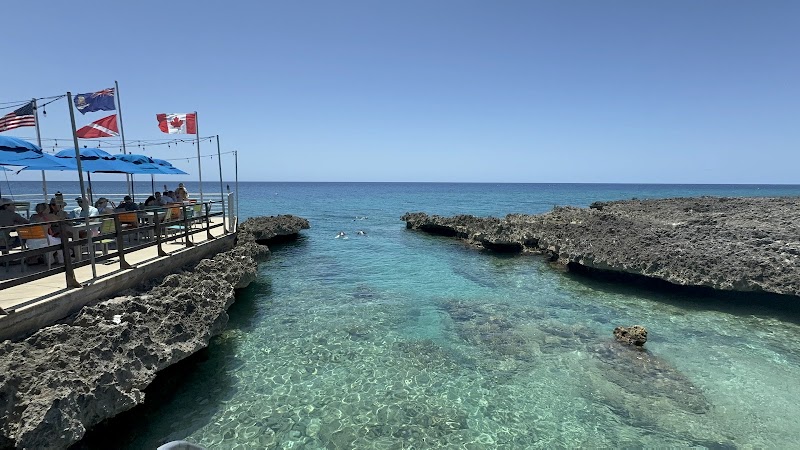 DNS Diving — Scuba Diving in George Town, Grand Cayman photo 3