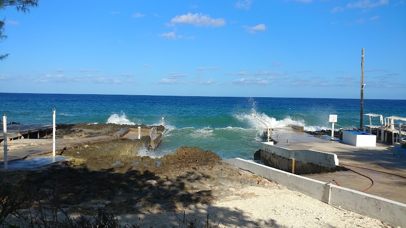 Don Foster's Dive Cayman — Scuba Diving in Seven Mile Beach, Grand Cayman photo 3