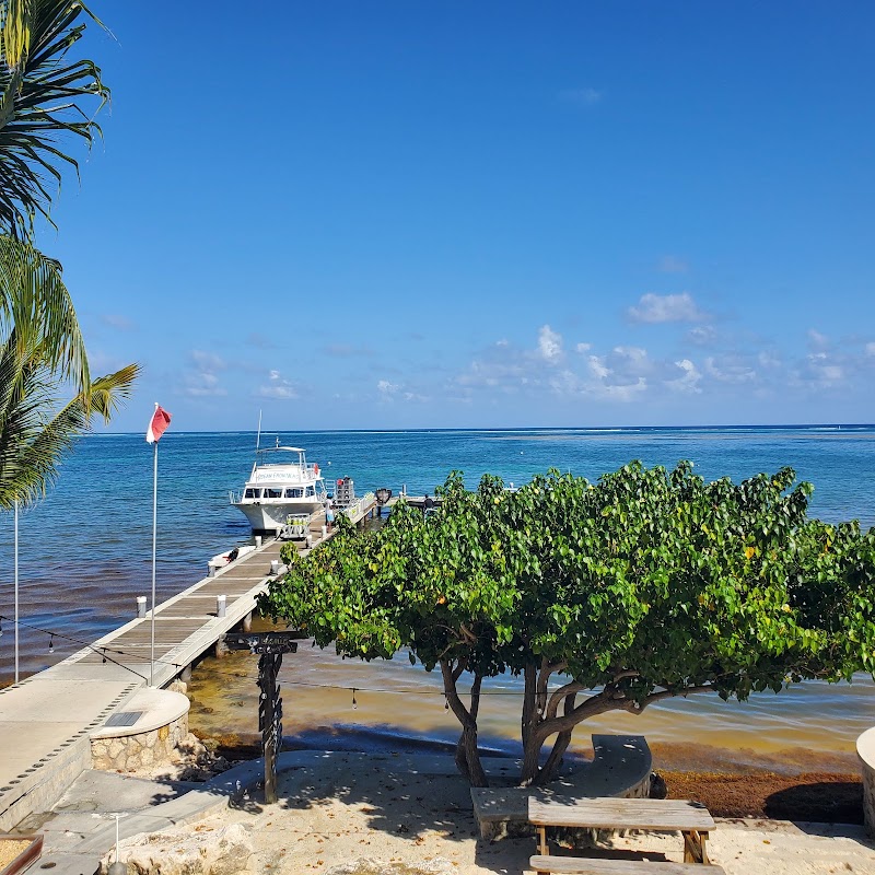 Eagle Ray Dive & Grill — Dive Bar & Grill in East End, Grand Cayman photo 3