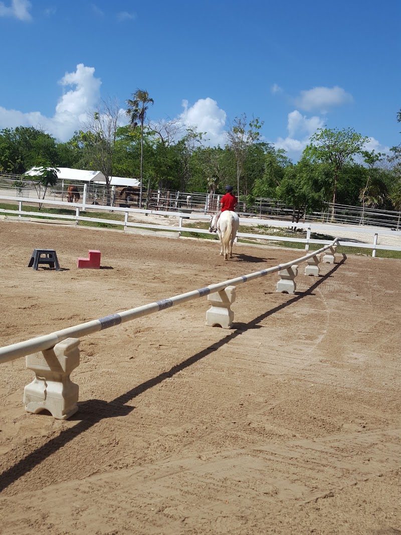 Equestrian Center — Riding Instruction in George Town, Grand Cayman