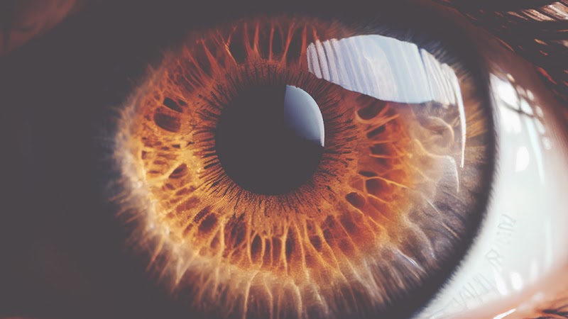 Eye Health Clinic – Cayman — Eye Clinic in George Town, Grand Cayman