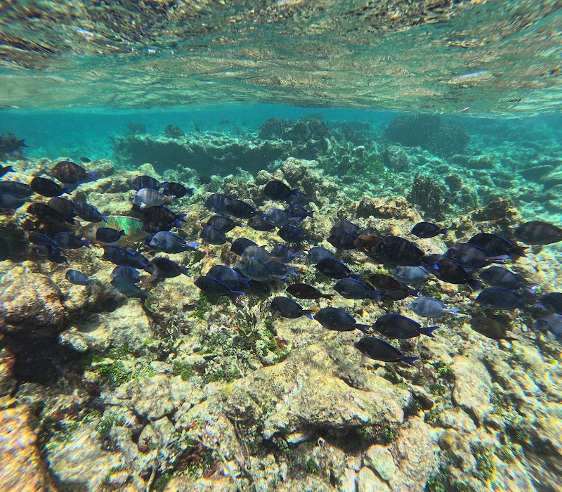 George's Watersports — Boat Tours in Seven Mile Beach, Grand Cayman