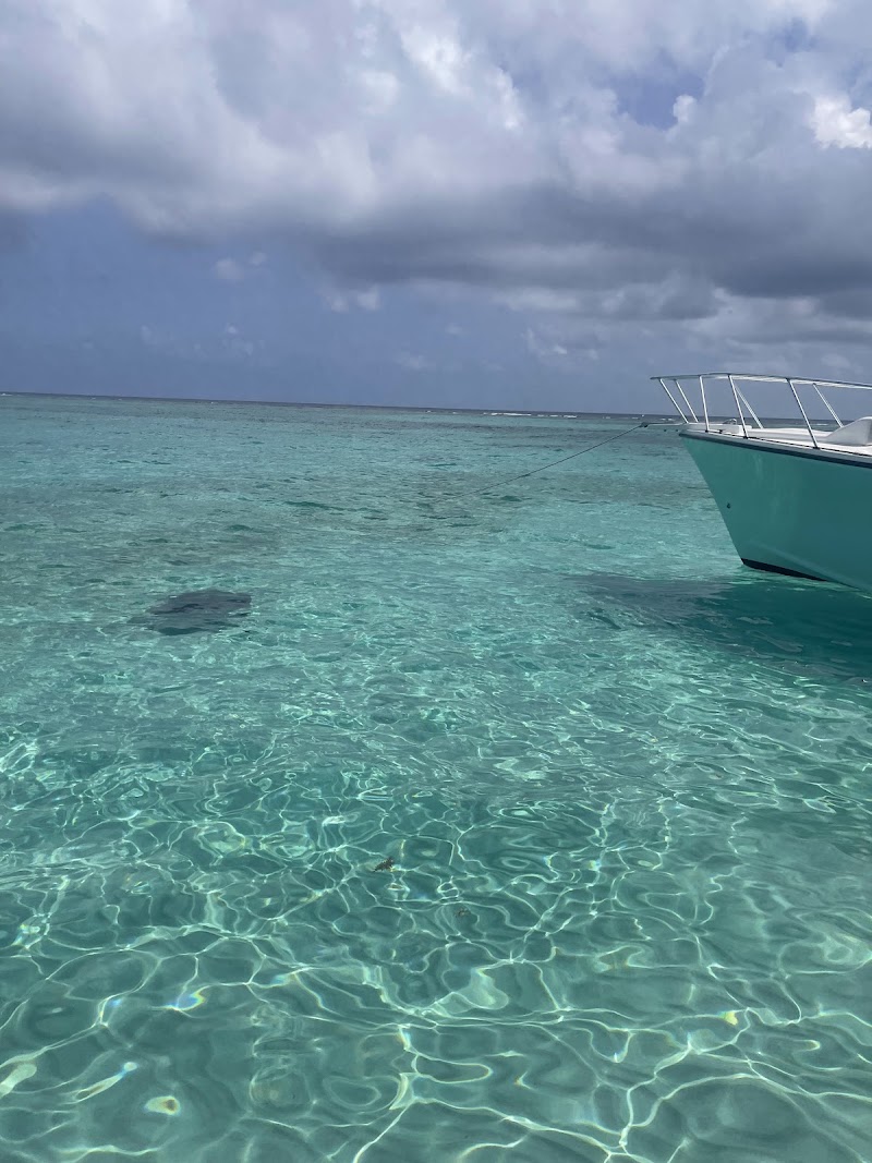 George's Watersports — Boat Tours in Seven Mile Beach, Grand Cayman photo 2