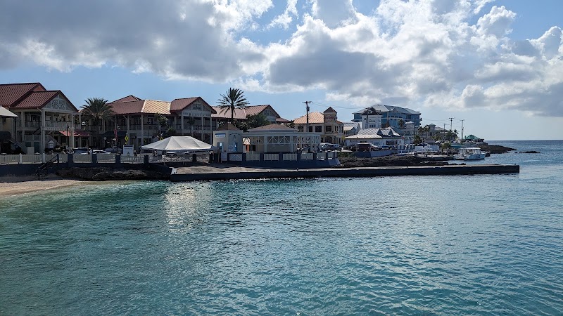 Grand Cayman Cruise Excursions — Cruise Excursions in George Town, Grand Cayman