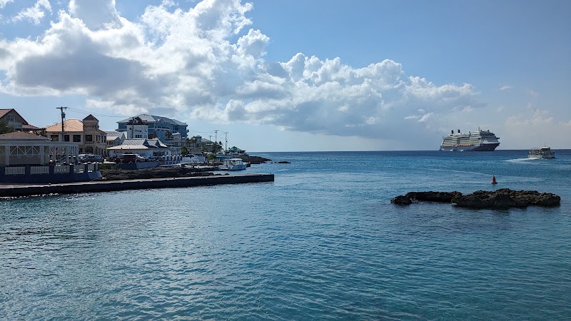 Grand Cayman Cruise Excursions — Cruise Excursions in George Town, Grand Cayman photo 2