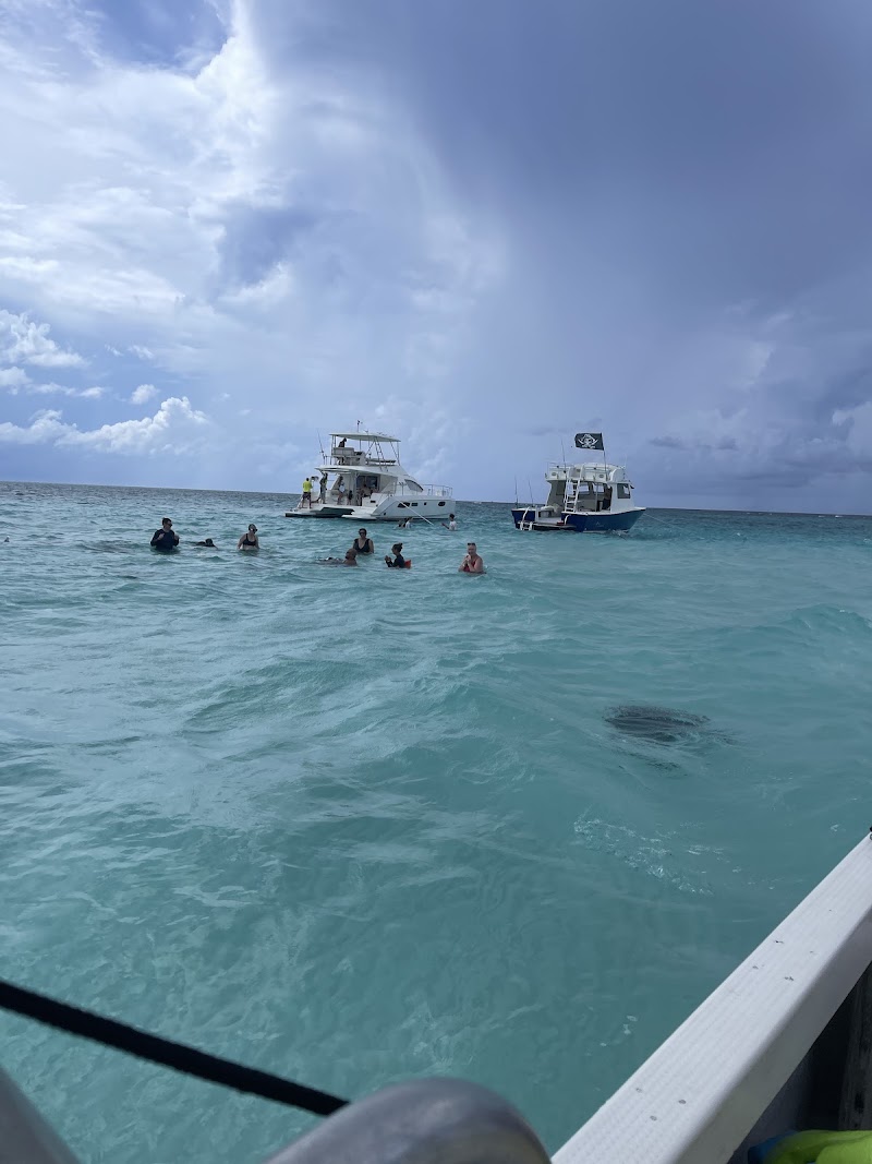 Grand Cayman Cruise Excursions — Cruise Excursions in George Town, Grand Cayman photo 3
