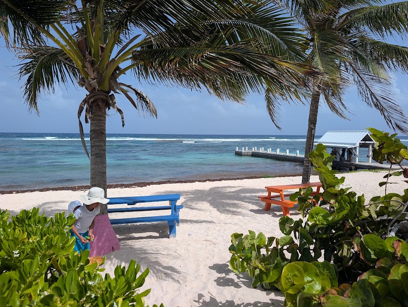 Grape Tree Cafe — Seafood Restaurant in Bodden Town, Grand Cayman photo 3