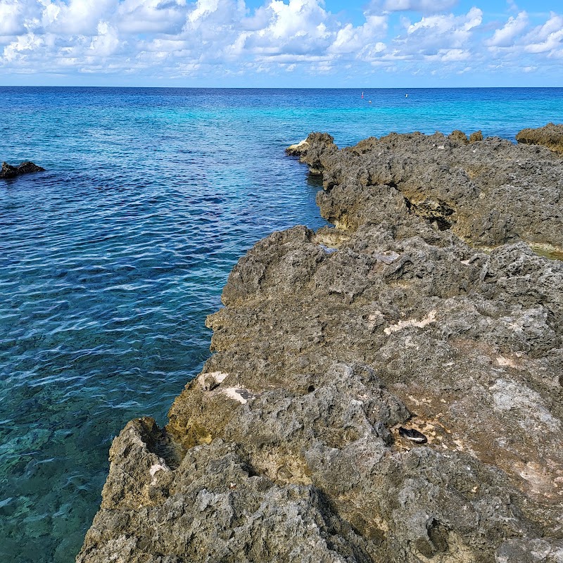 Indepth Watersports — Scuba & Snorkel in Seven Mile Beach, Grand Cayman