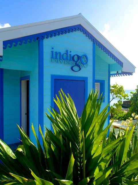 Indigo Divers — Dive Shop in West Bay, Grand Cayman photo 1