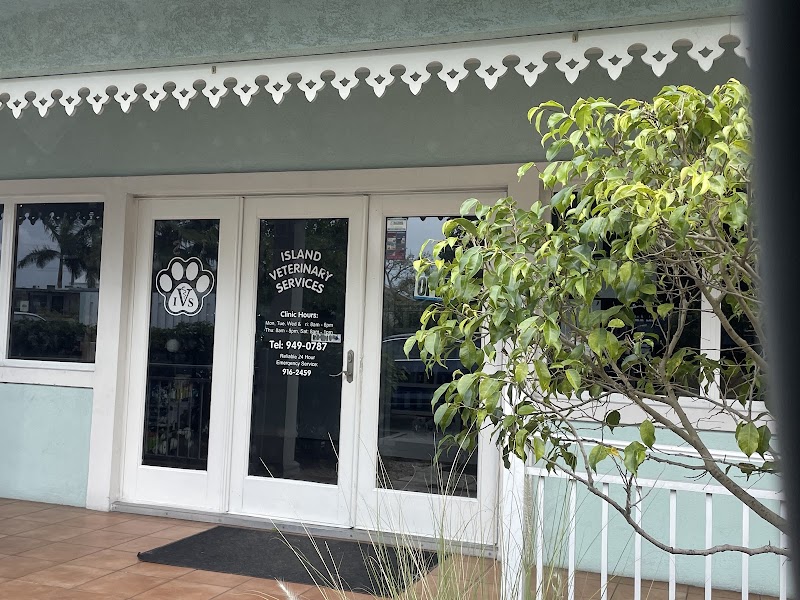 Island Veterinary Services — Veterinary Hospital in George Town, Grand Cayman