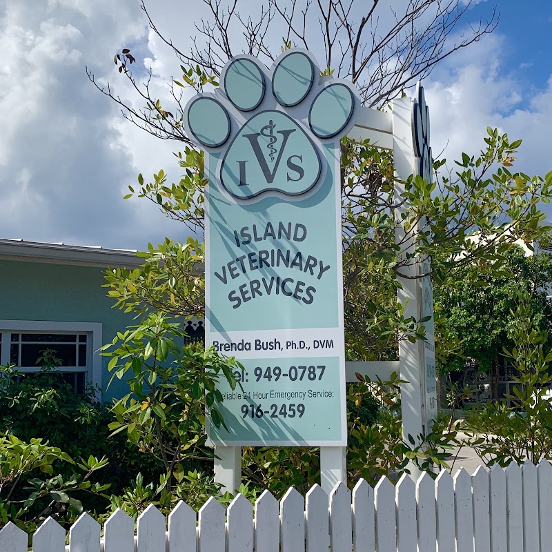 Island Veterinary Services — Veterinary Hospital in George Town, Grand Cayman photo 2