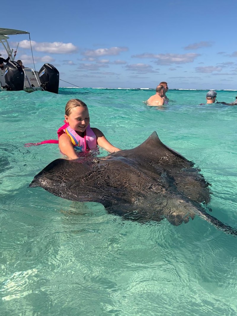 Island Vision Private Charters — Private Boat Charters in West Bay, Grand Cayman photo 3
