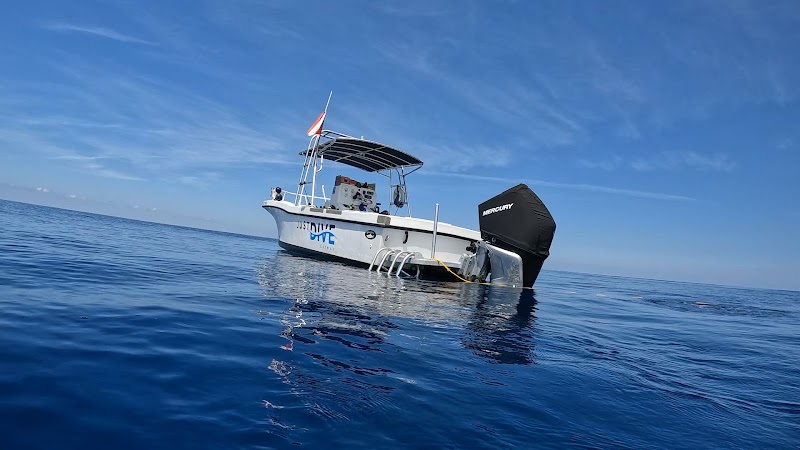 Just Dive Cayman — Scuba Diving in George Town, Grand Cayman photo 2