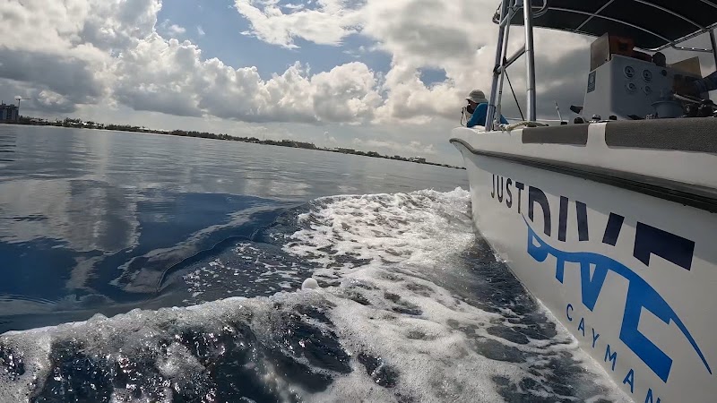 Just Dive Cayman — Scuba Diving in George Town, Grand Cayman photo 3