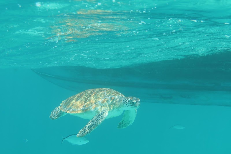 Liquid Salt Charters — Boat Charters in West Bay, Grand Cayman photo 2